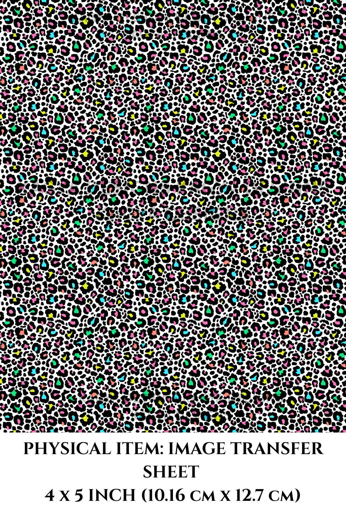 25 25